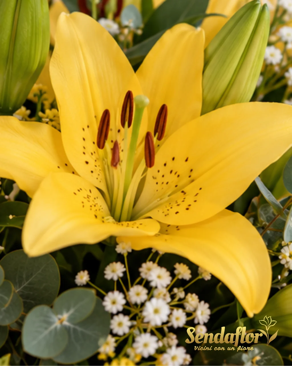 Luce dorata – Bouquet di lilium gialli
