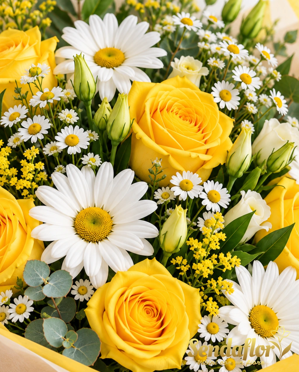 Un raggio di sole – Margherite bianche e rose gialle
